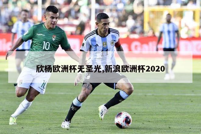 欣杨欧洲杯无圣光,新浪欧洲杯2020