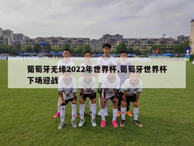 葡萄牙无缘2022年世界杯,葡萄牙世界杯下场迎战