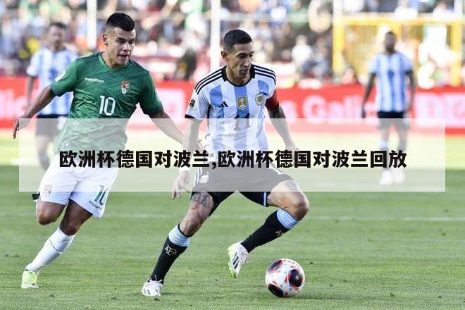 欧洲杯德国对波兰,欧洲杯德国对波兰回放