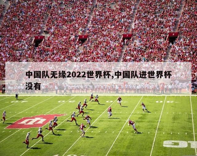 中国队无缘2022世界杯,中国队进世界杯没有