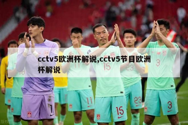 cctv5欧洲杯解说,cctv5节目欧洲杯解说