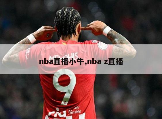 nba直播小牛,nba z直播