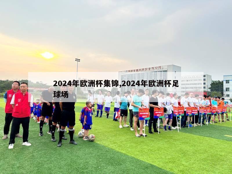 2024年欧洲杯集锦,2024年欧洲杯足球场