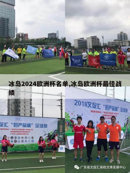 冰岛2024欧洲杯名单,冰岛欧洲杯最佳战绩