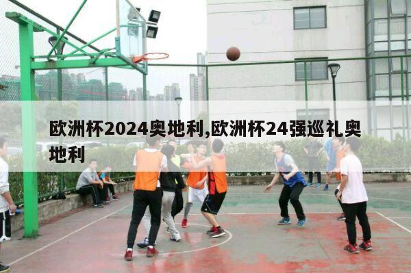 欧洲杯2024奥地利,欧洲杯24强巡礼奥地利