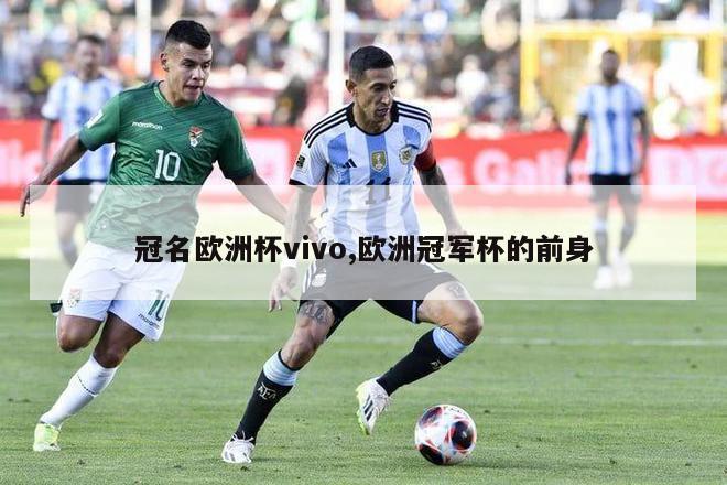 冠名欧洲杯vivo,欧洲冠军杯的前身