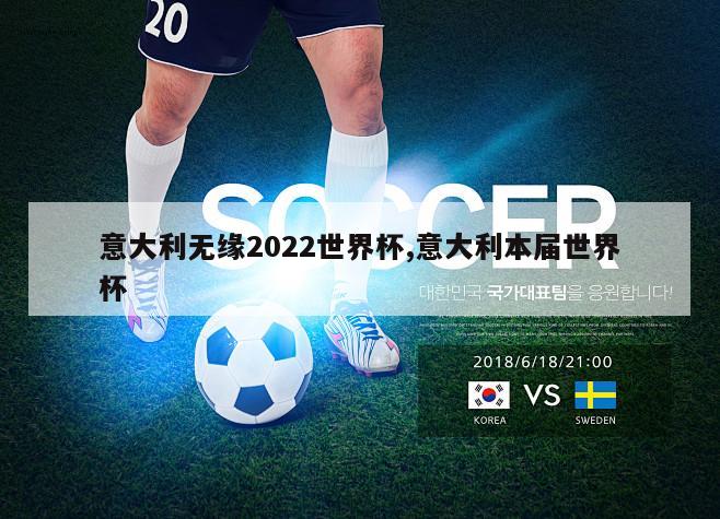 意大利无缘2022世界杯,意大利本届世界杯