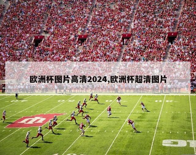 欧洲杯图片高清2024,欧洲杯超清图片