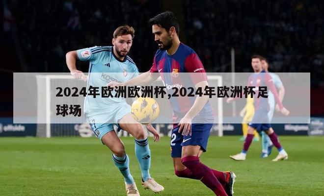 2024年欧洲欧洲杯,2024年欧洲杯足球场