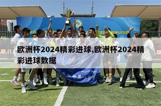 欧洲杯2024精彩进球,欧洲杯2024精彩进球数据