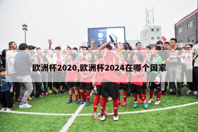 欧洲杯2020,欧洲杯2024在哪个国家