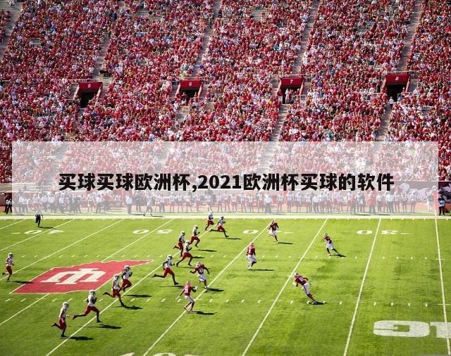 买球买球欧洲杯,2021欧洲杯买球的软件