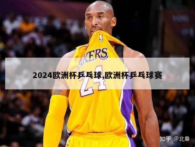 2024欧洲杯乒乓球,欧洲杯乒乓球赛