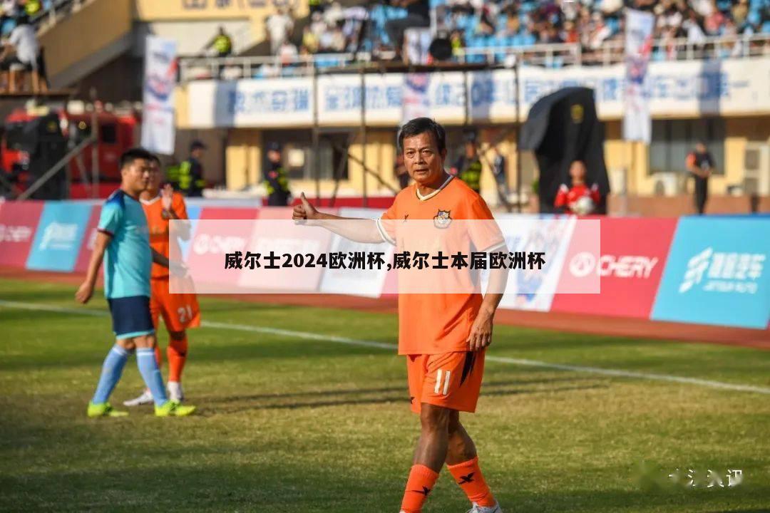 威尔士2024欧洲杯,威尔士本届欧洲杯